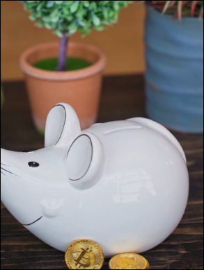 piggy bank